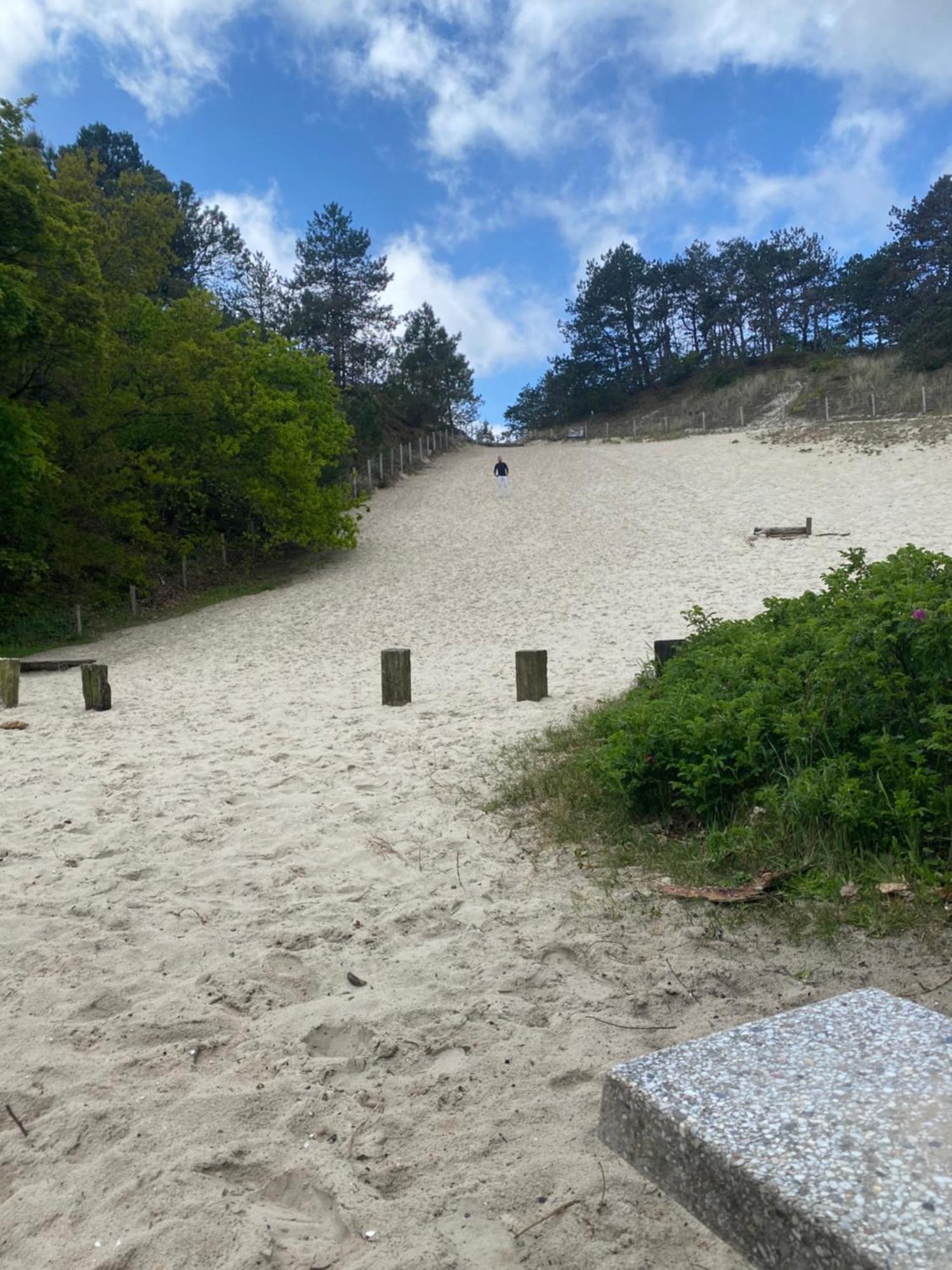 Eureka Vakantiehuisjes Schoorl Bagian luar foto